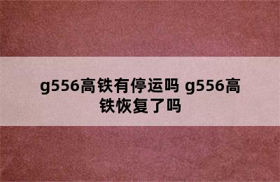 g556高铁有停运吗 g556高铁恢复了吗